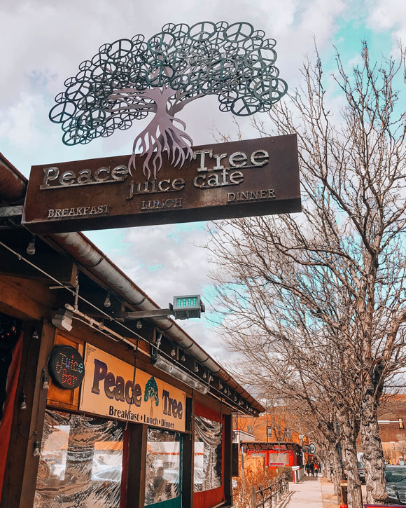 peace tree aka the best cafe in moab