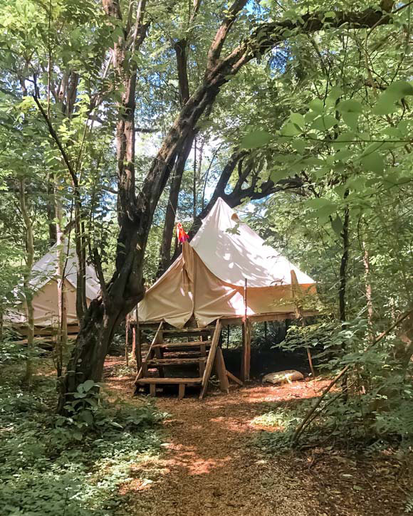 tent in the jungle