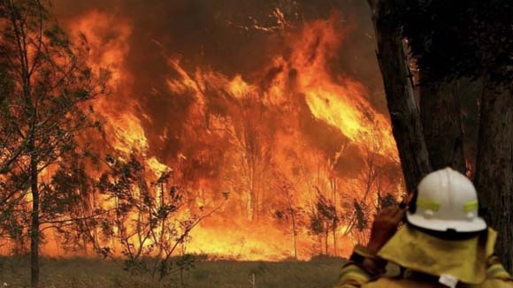 NSW bush fire 1