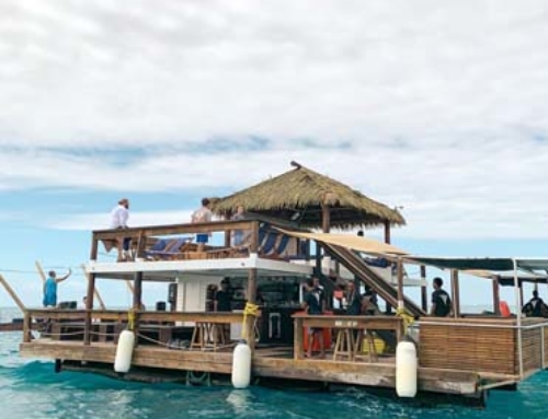 Cloud 9 Fiji: Floating Pizza Bar